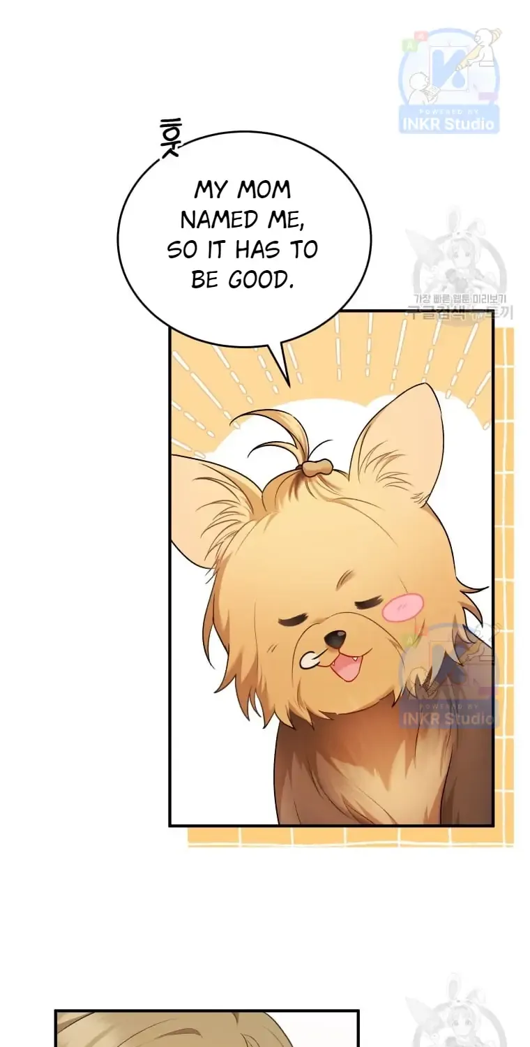 Hello! Veterinarian! Chapter 2 page 54 - 