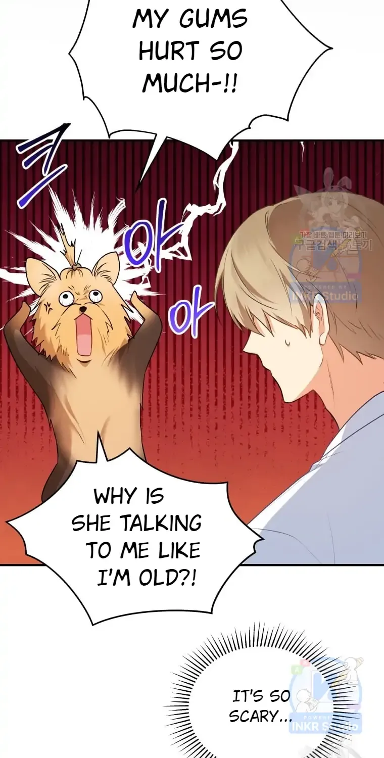 Hello! Veterinarian! Chapter 2 page 63 - 