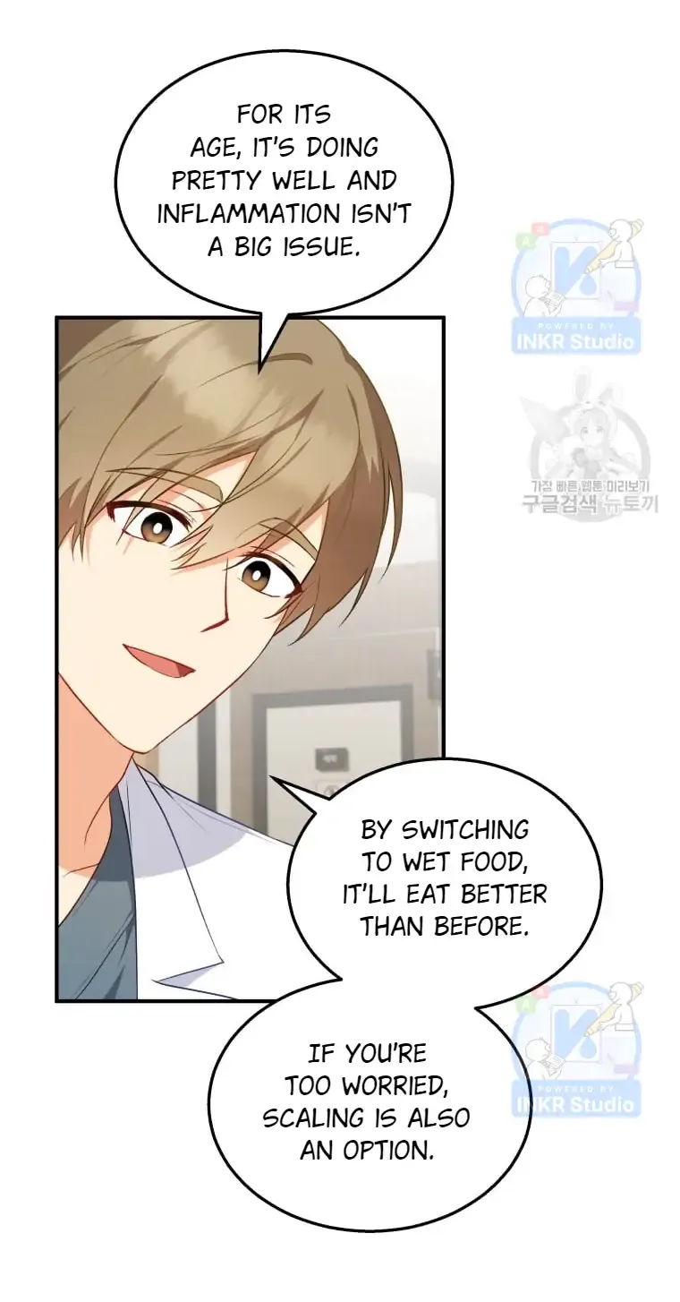 Hello! Veterinarian! Chapter 2 page 74 - 