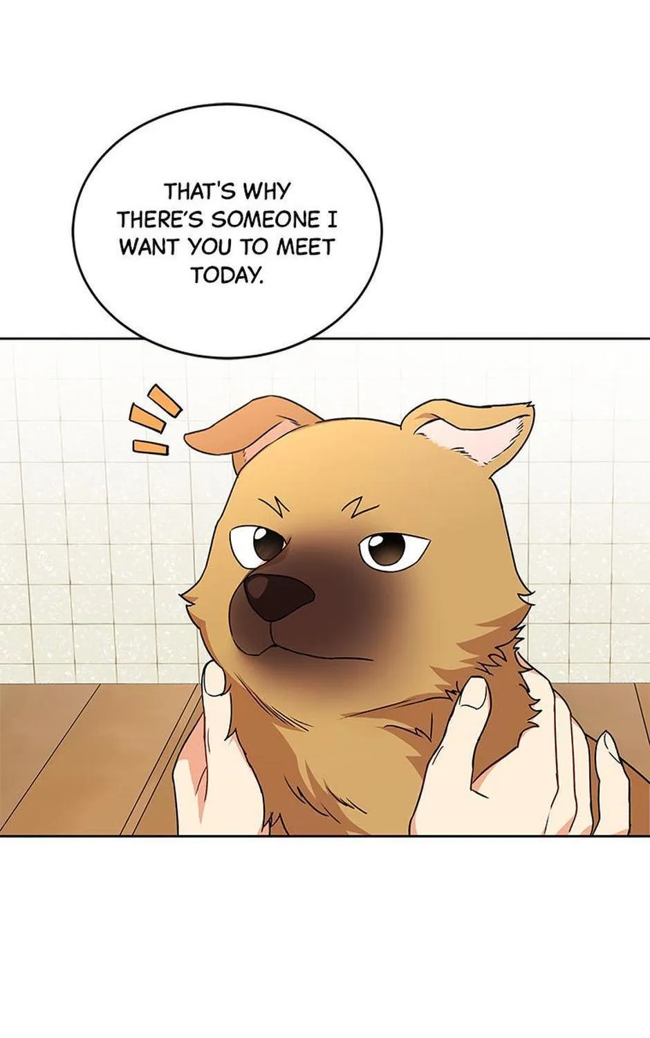 Hello! Veterinarian! Chapter 20 page 66 - 