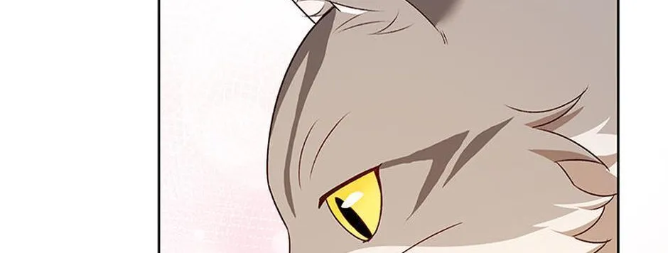 Hello! Veterinarian! Chapter 21 page 131 - 
