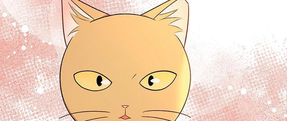 Hello! Veterinarian! Chapter 21 page 141 - 