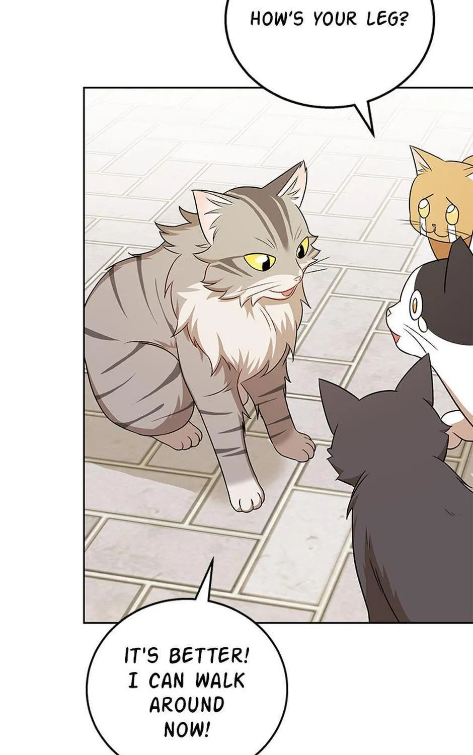 Hello! Veterinarian! Chapter 21 page 86 - 