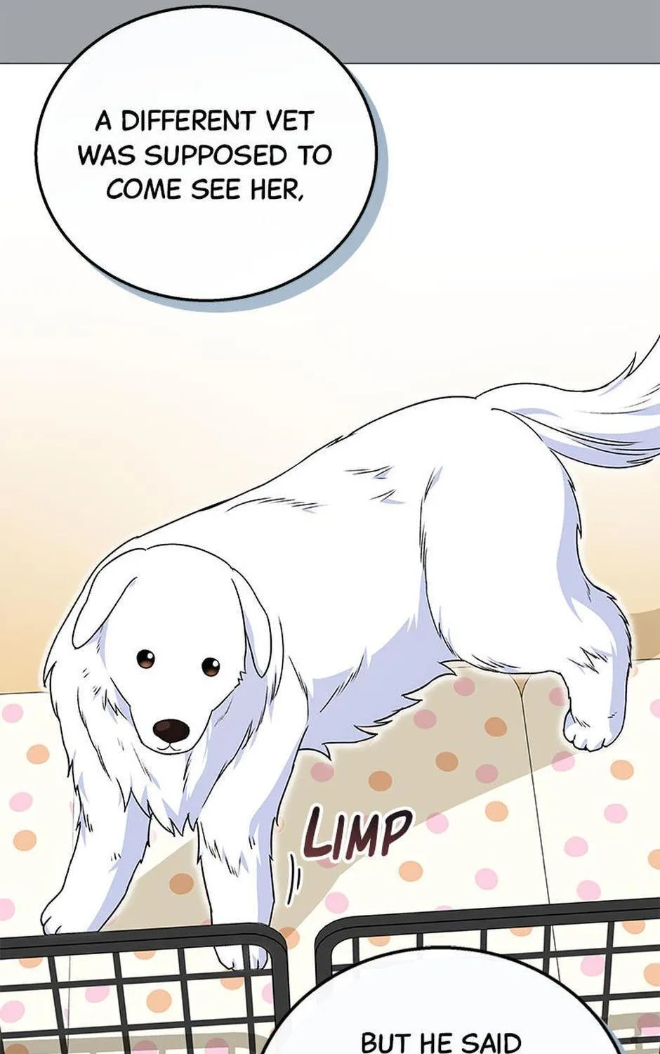 Hello! Veterinarian! Chapter 22 page 85 - 