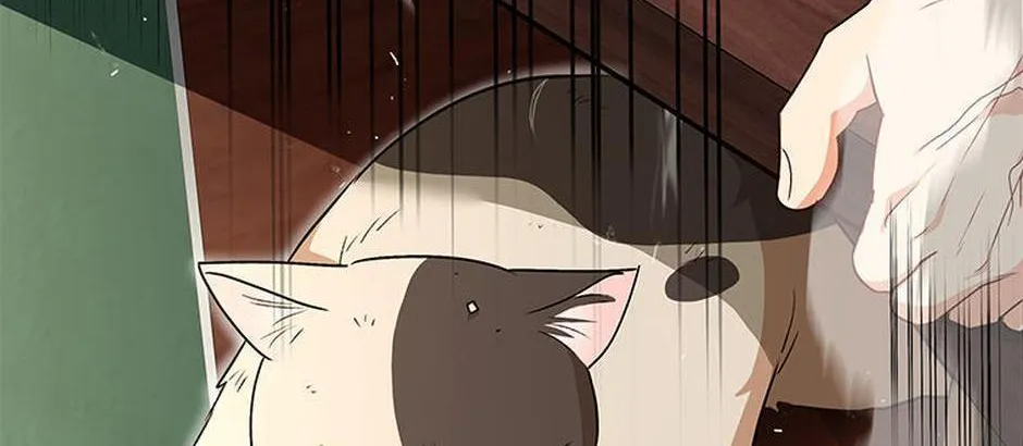 Hello! Veterinarian! Chapter 25 page 98 - 