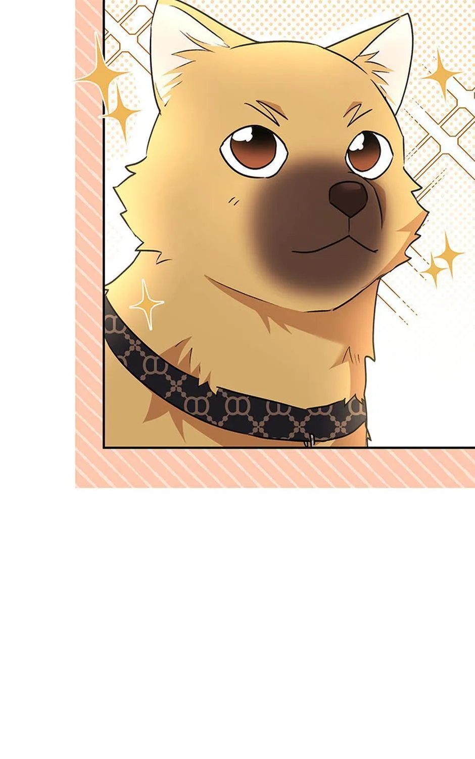 Hello! Veterinarian! Chapter 26 page 159 - 