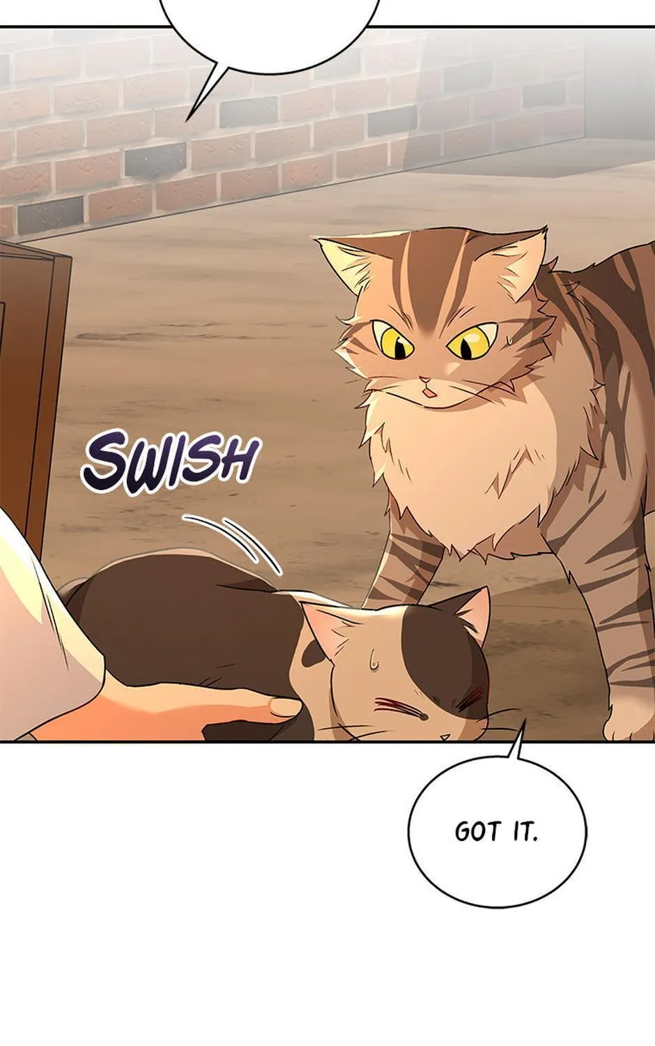 Hello! Veterinarian! Chapter 26 page 61 - 
