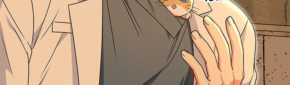 Hello! Veterinarian! Chapter 26 page 70 - 