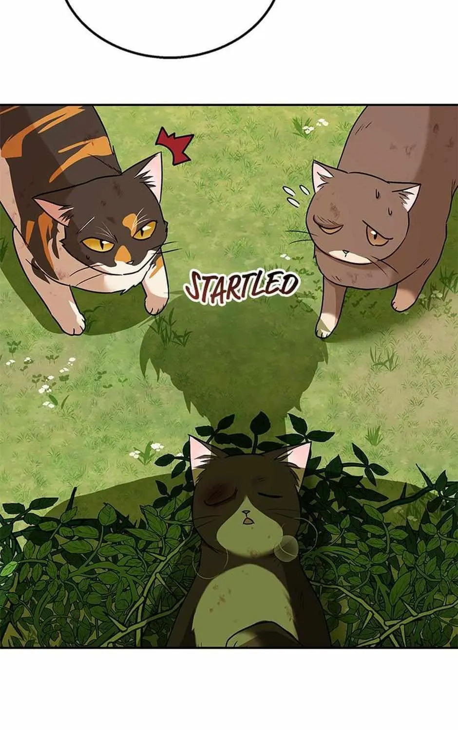 Hello! Veterinarian! Chapter 27 page 102 - 