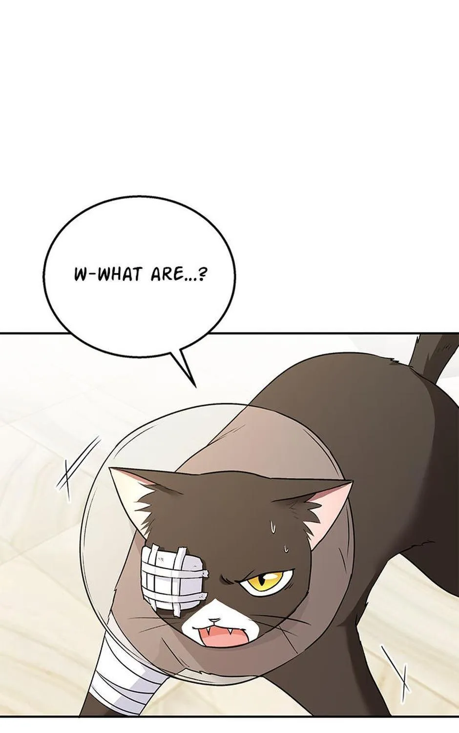 Hello! Veterinarian! Chapter 27 page 142 - 