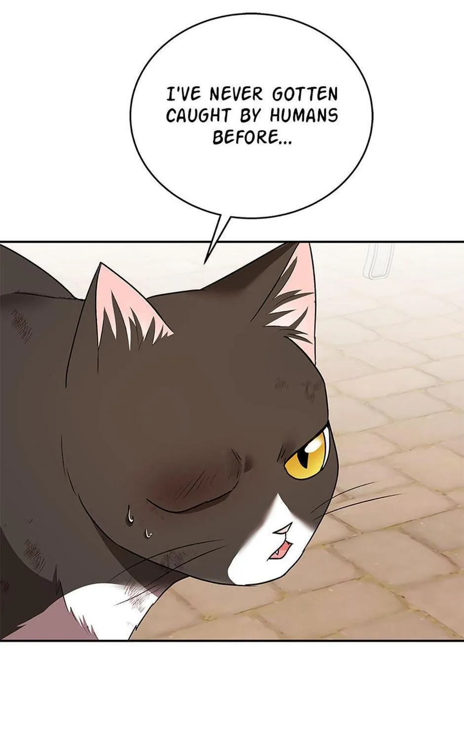 Hello! Veterinarian! Chapter 27 page 18 - 