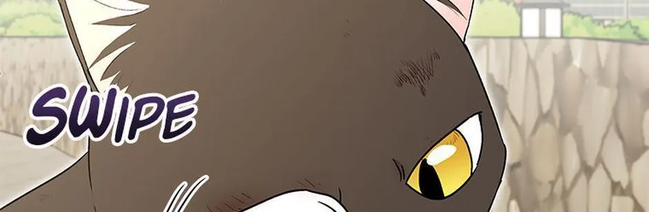 Hello! Veterinarian! Chapter 27 page 39 - 