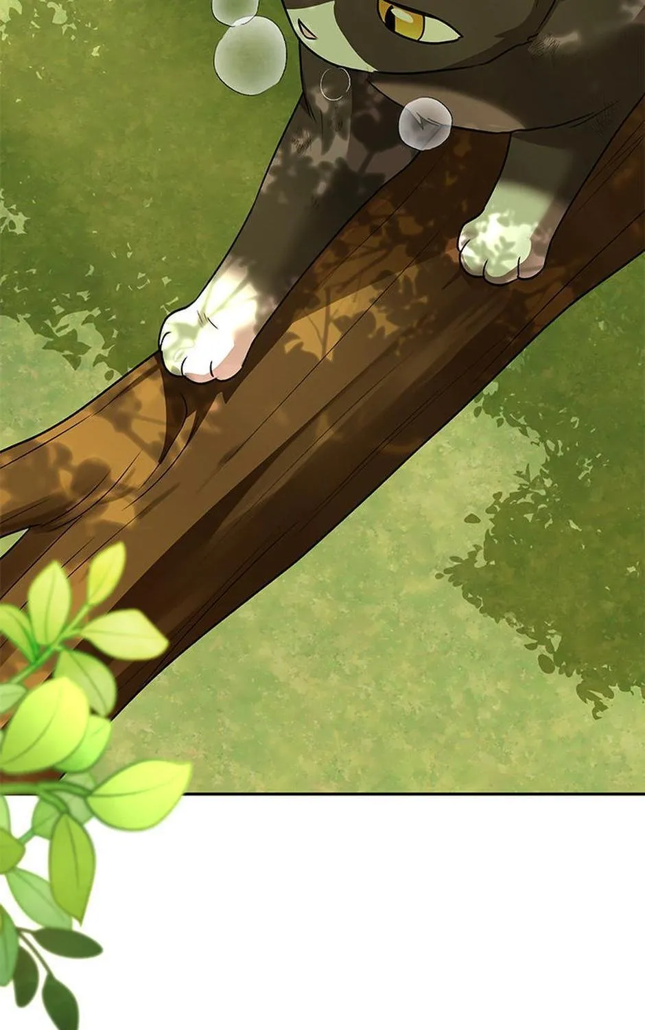Hello! Veterinarian! Chapter 27 page 68 - 