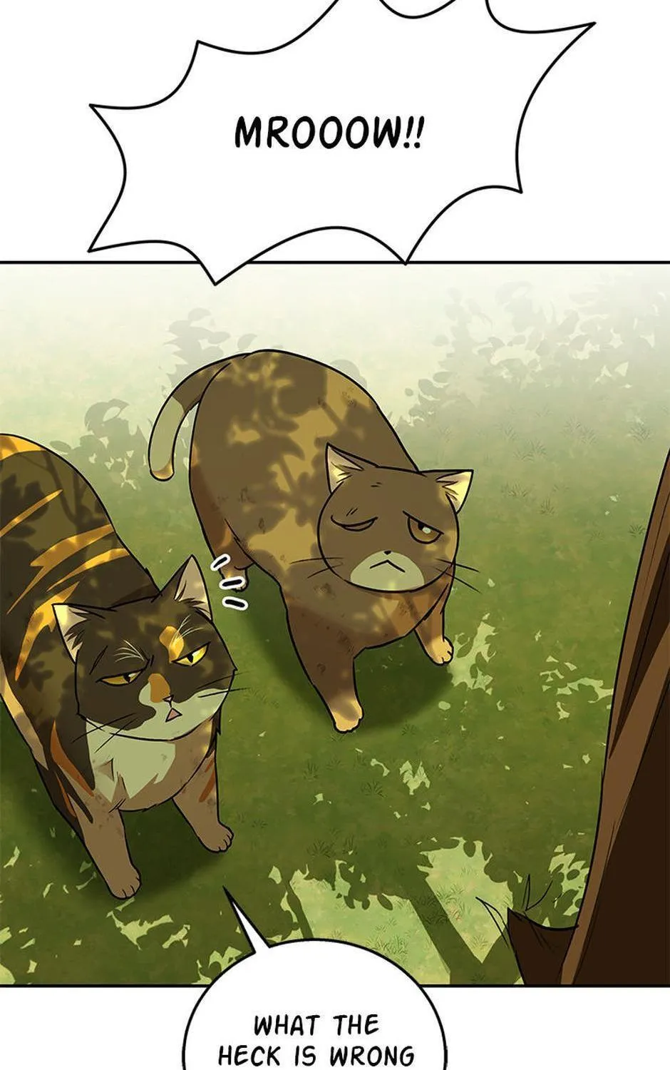 Hello! Veterinarian! Chapter 27 page 76 - 