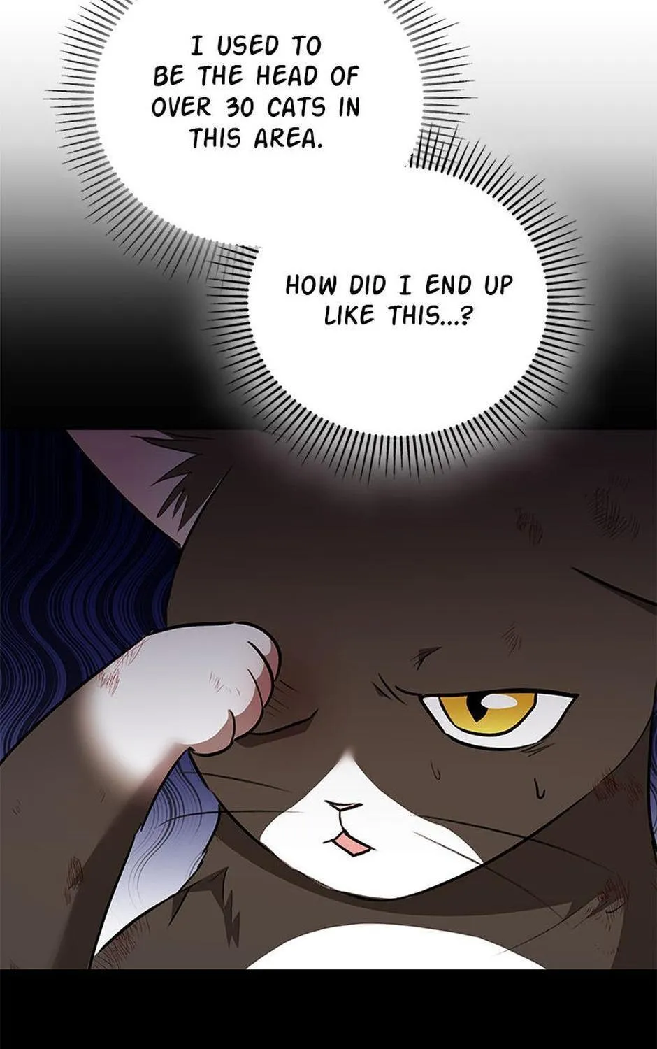 Hello! Veterinarian! Chapter 27 page 92 - 