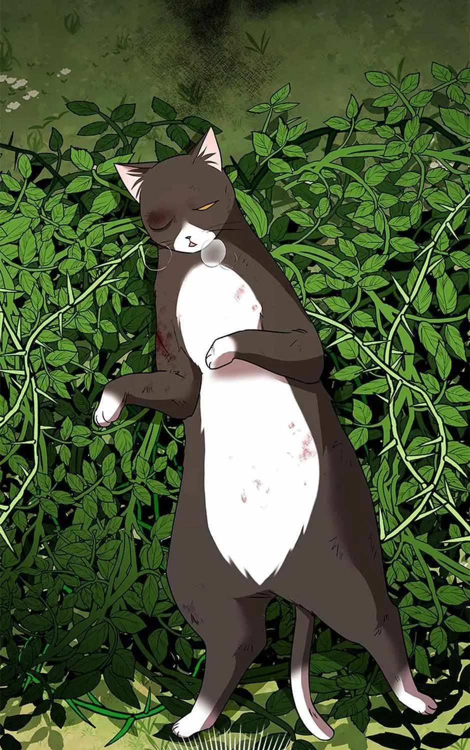 Hello! Veterinarian! Chapter 27 page 96 - 