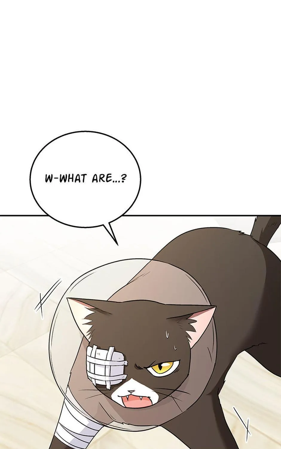 Hello! Veterinarian! Chapter 28 page 1 - 