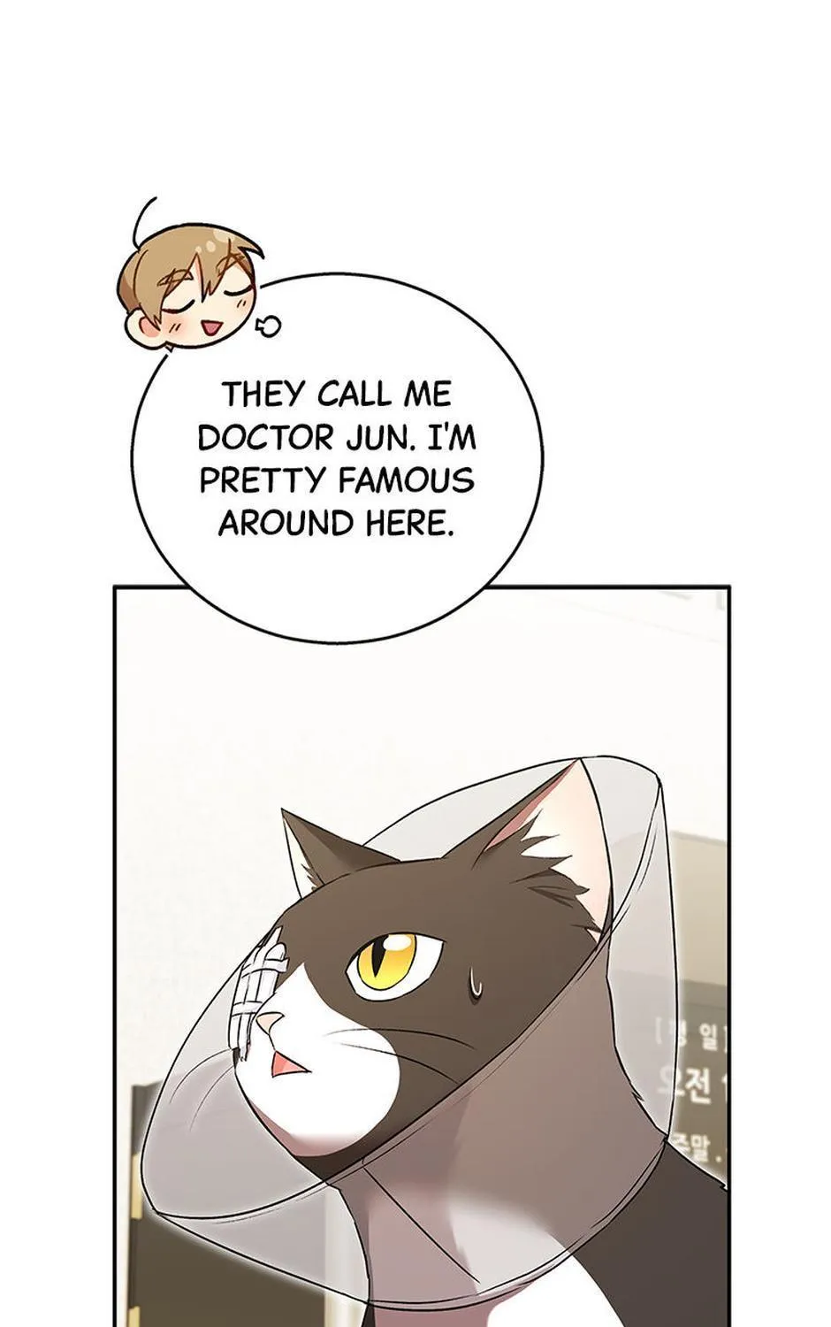 Hello! Veterinarian! Chapter 28 page 11 - 