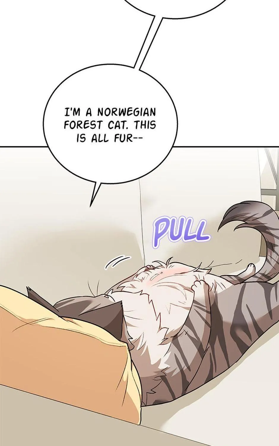 Hello! Veterinarian! Chapter 28 page 103 - 