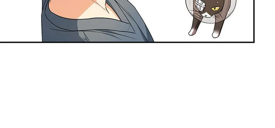 Hello! Veterinarian! Chapter 28 page 14 - 