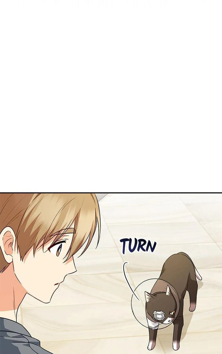 Hello! Veterinarian! Chapter 28 page 63 - 