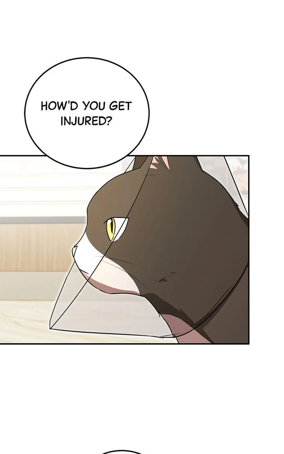 Hello! Veterinarian! Chapter 28 page 71 - 