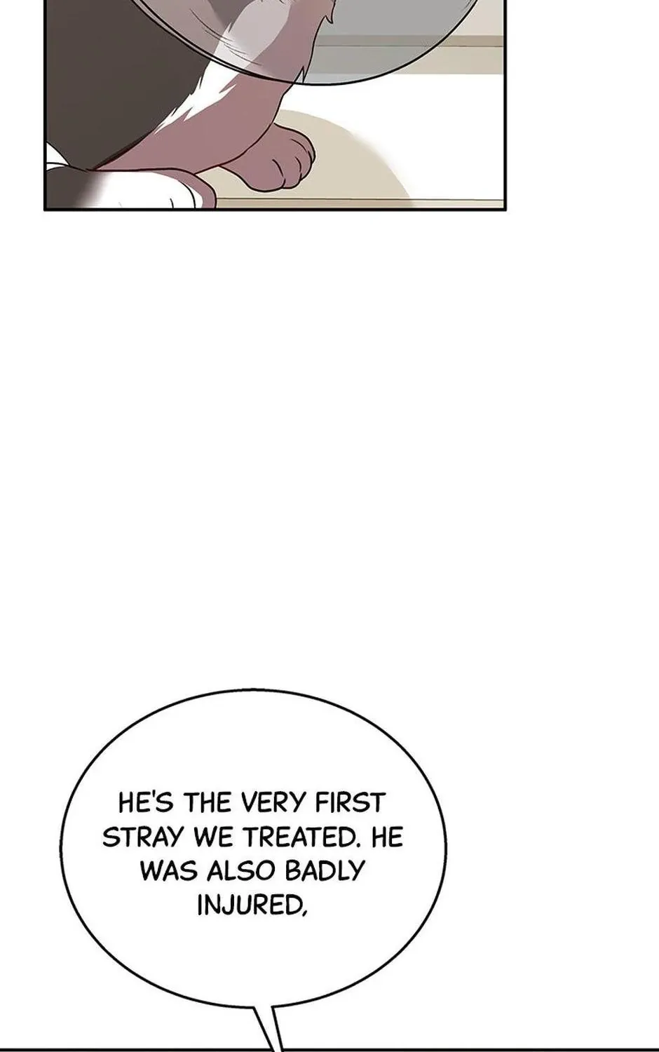 Hello! Veterinarian! Chapter 30 page 5 - 