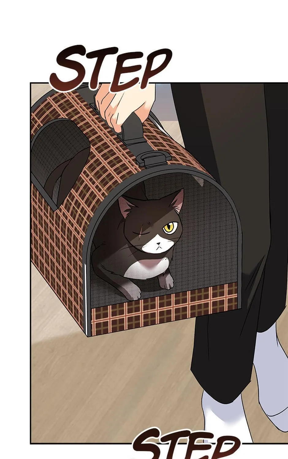 Hello! Veterinarian! Chapter 30 page 41 - 