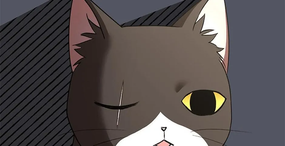 Hello! Veterinarian! Chapter 30 page 66 - 