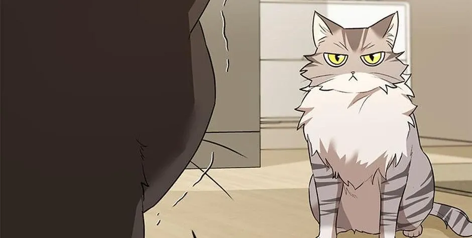 Hello! Veterinarian! Chapter 30 page 90 - 