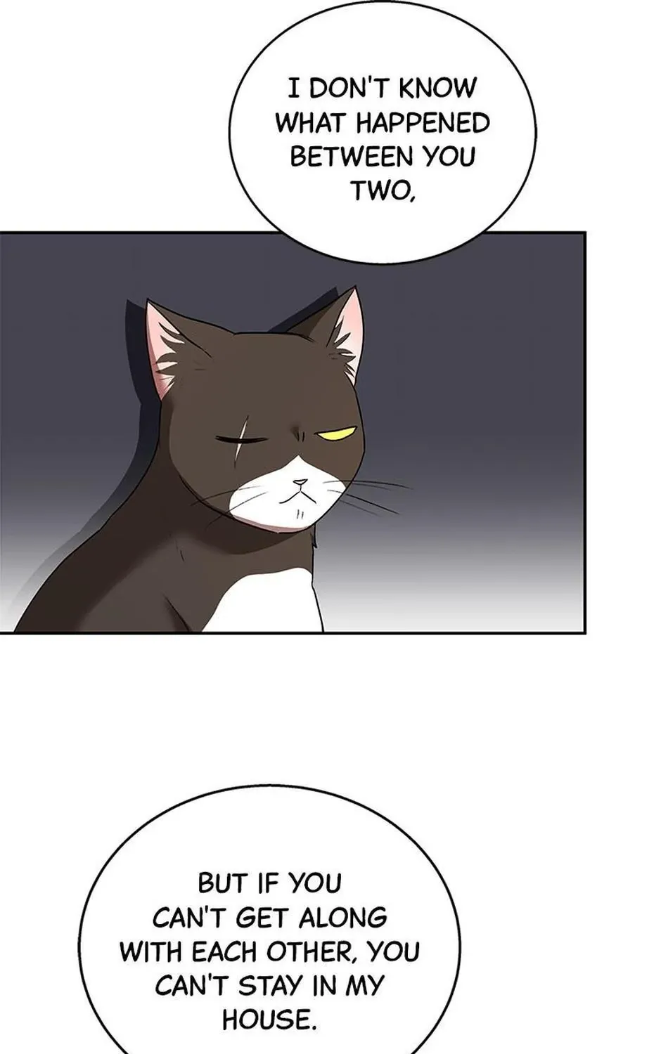 Hello! Veterinarian! Chapter 30 page 99 - 