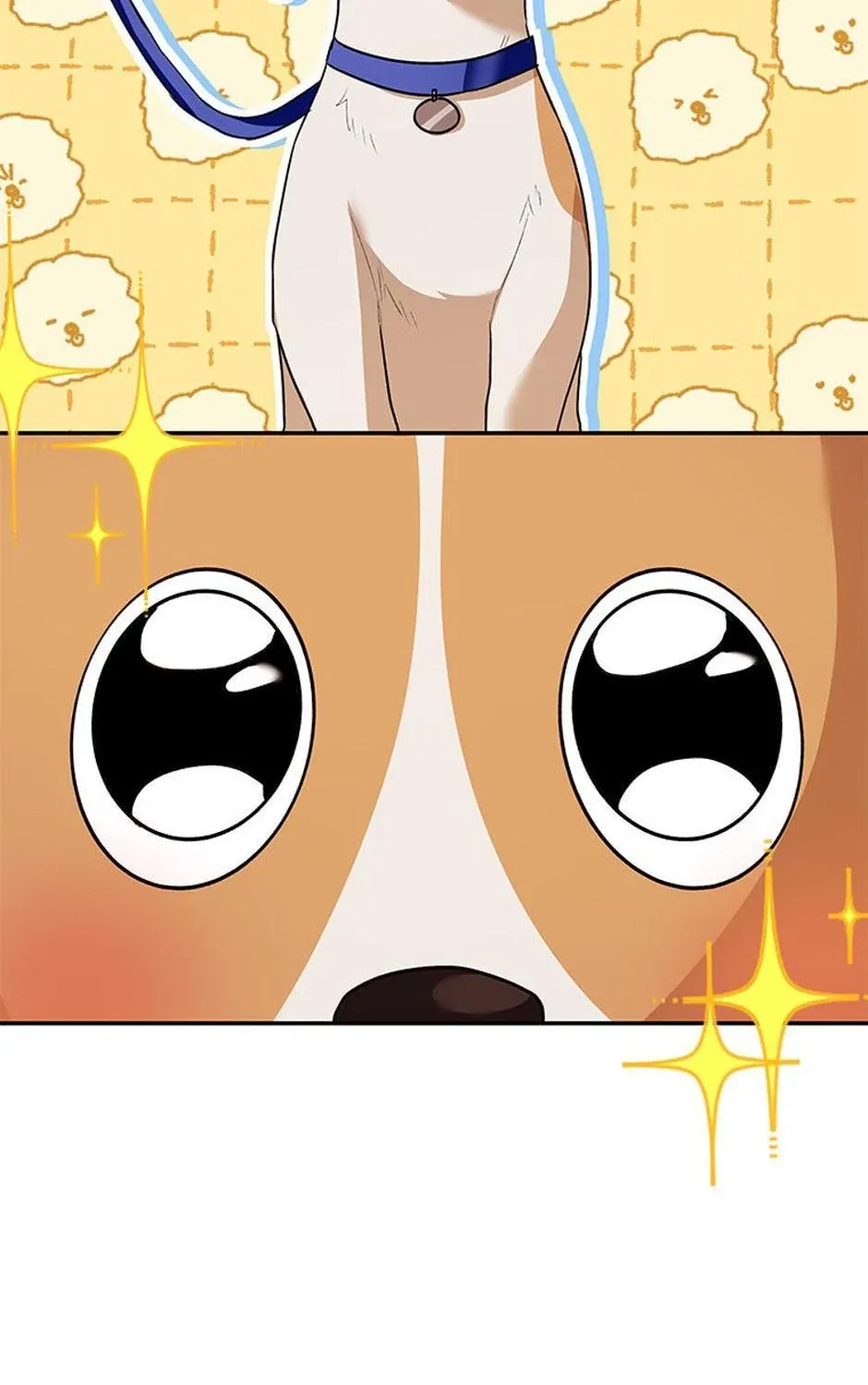 Hello! Veterinarian! Chapter 31 page 101 - 