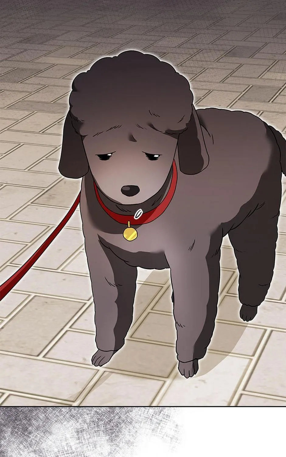 Hello! Veterinarian! Chapter 32 page 106 - 