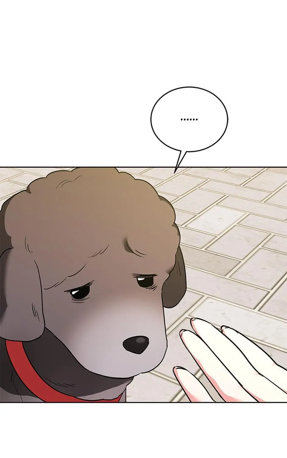 Hello! Veterinarian! Chapter 32 page 134 - 