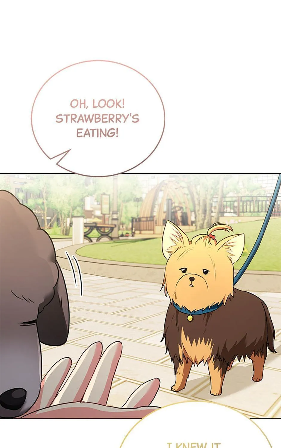 Hello! Veterinarian! Chapter 32 page 142 - 