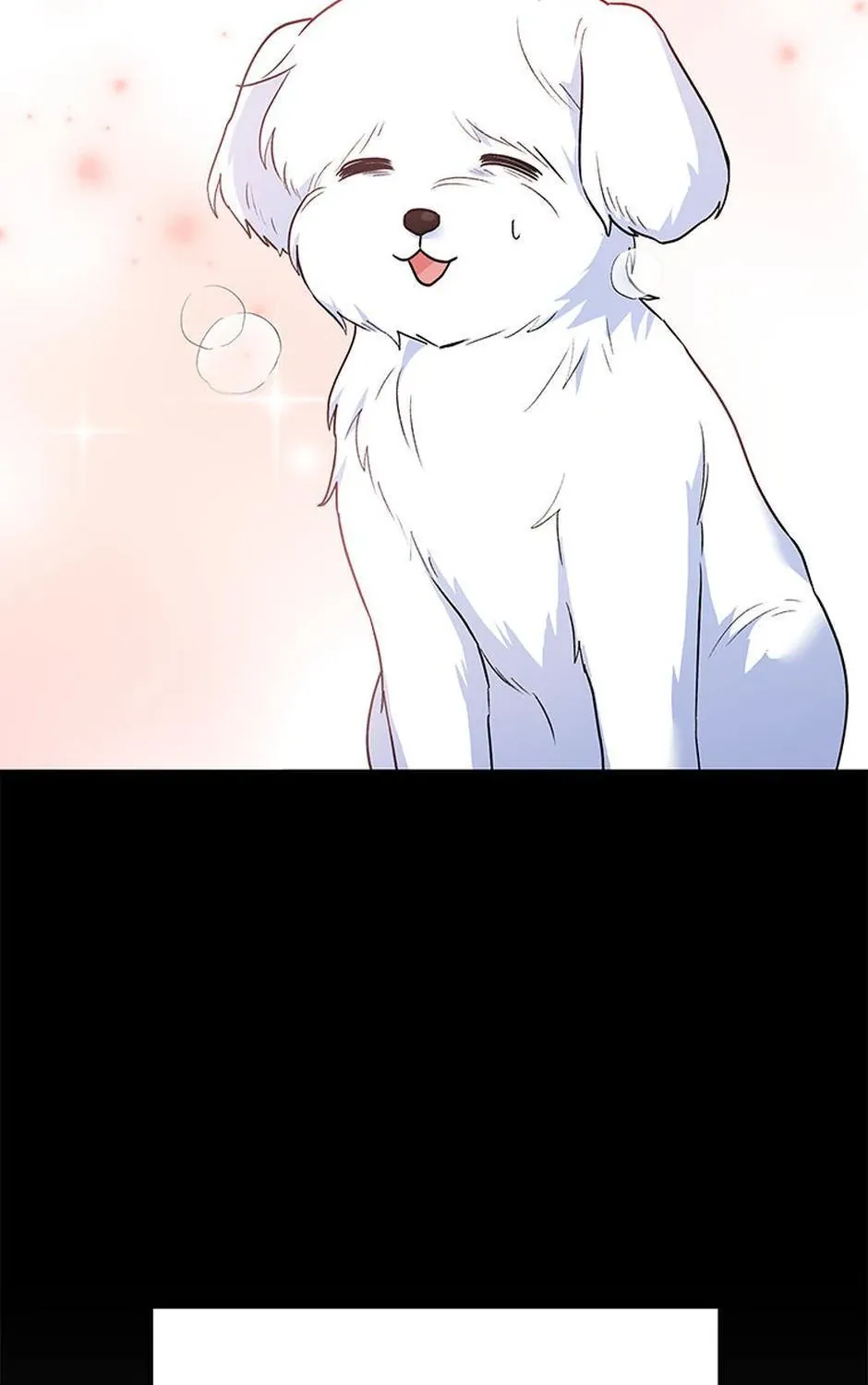 Hello! Veterinarian! Chapter 32 page 22 - 