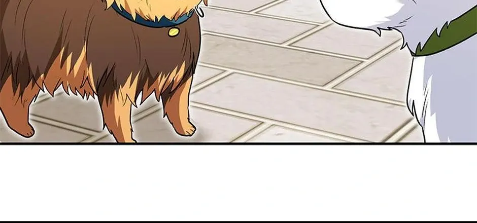 Hello! Veterinarian! Chapter 32 page 25 - 