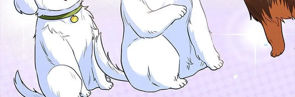 Hello! Veterinarian! Chapter 32 page 5 - 