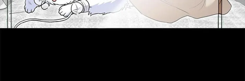 Hello! Veterinarian! Chapter 32 page 7 - 