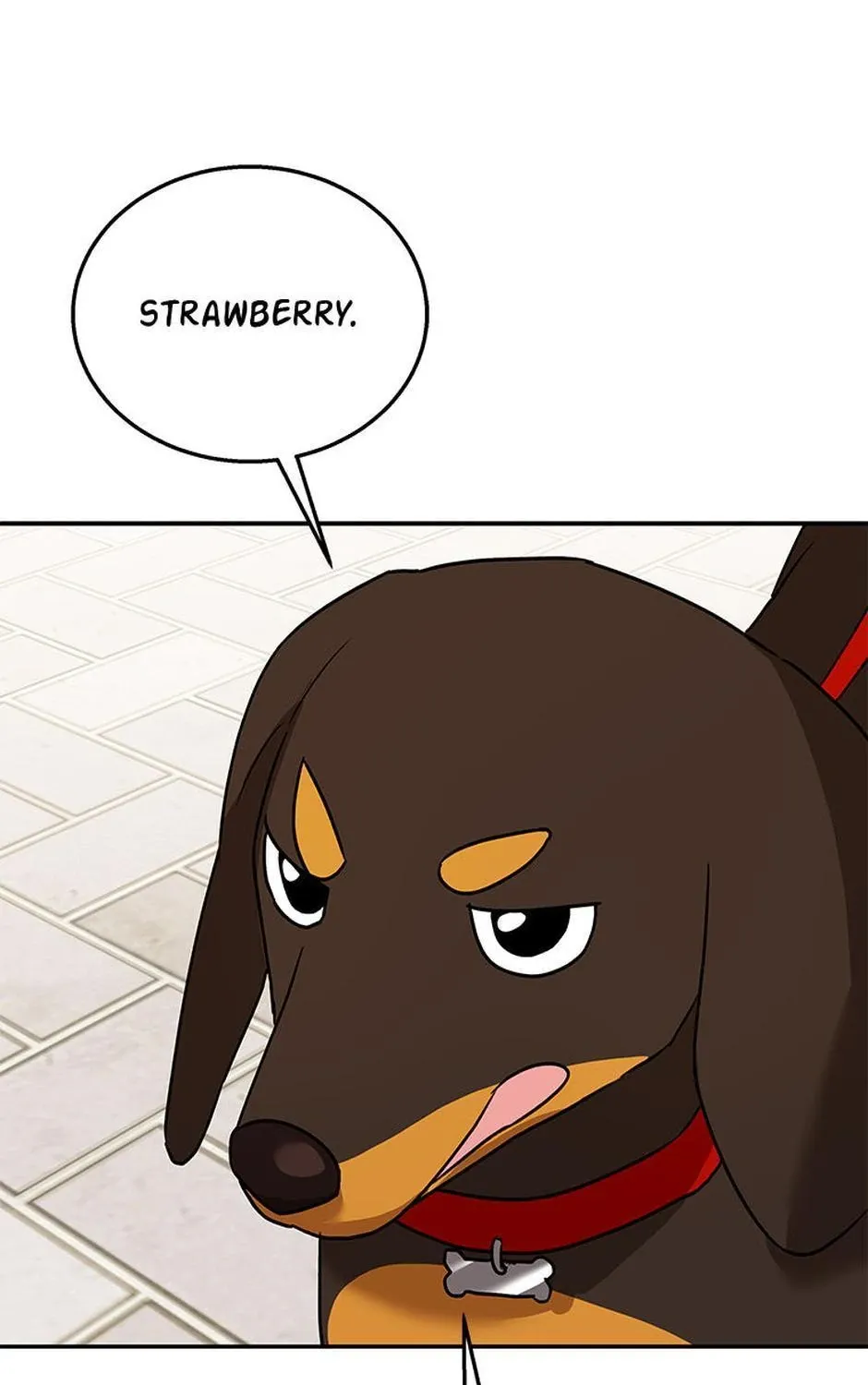 Hello! Veterinarian! Chapter 32 page 62 - 