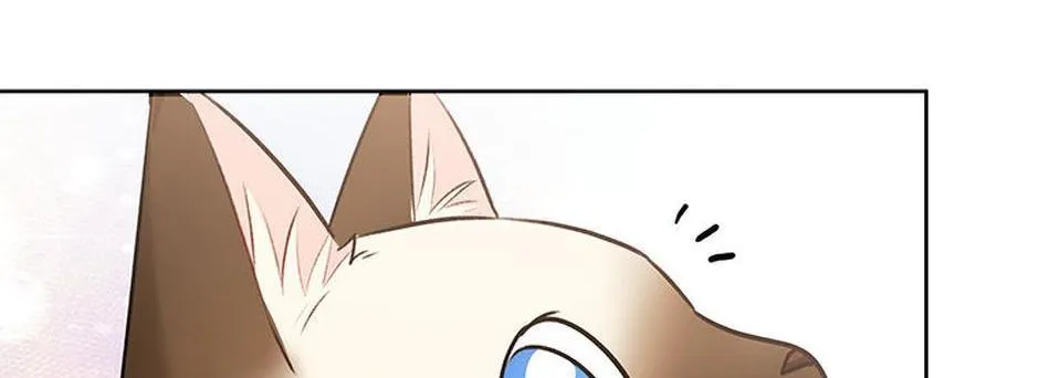 Hello! Veterinarian! Chapter 33 page 77 - 
