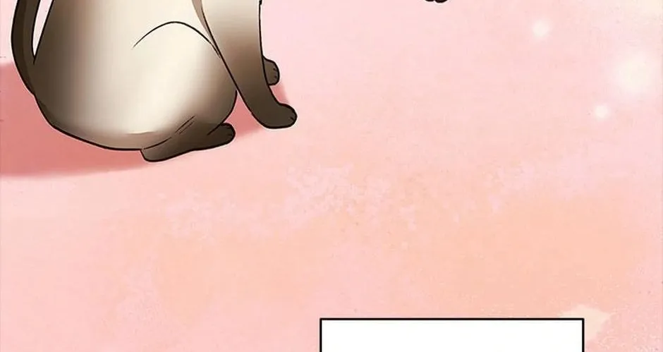 Hello! Veterinarian! Chapter 34 page 36 - 