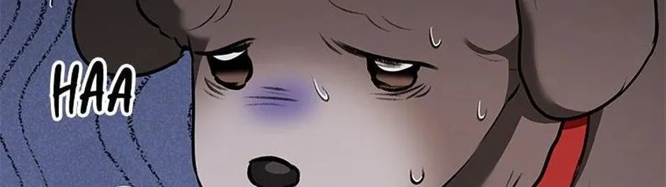 Hello! Veterinarian! Chapter 34 page 66 - 