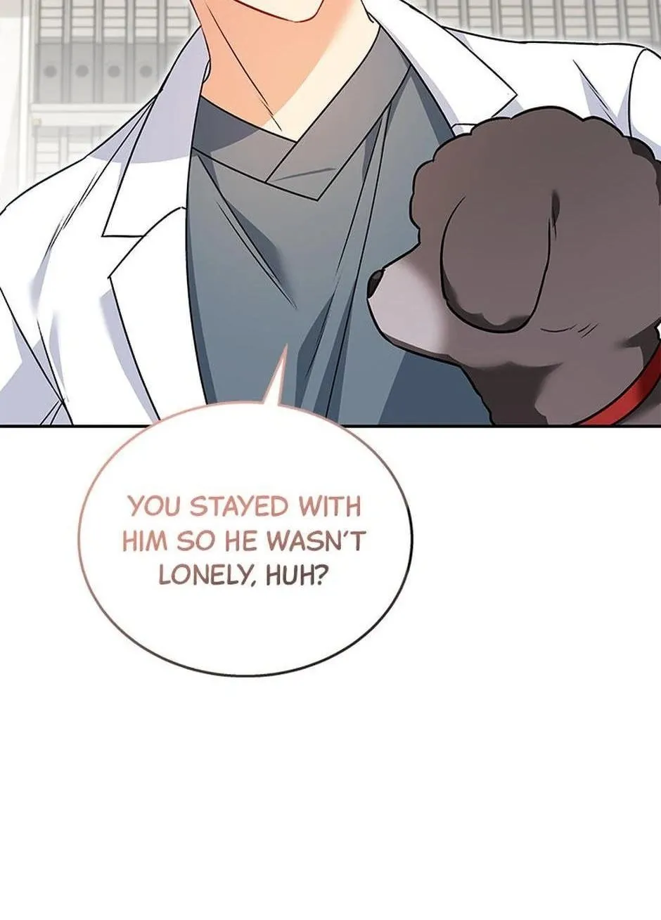 Hello! Veterinarian! Chapter 34 page 84 - 