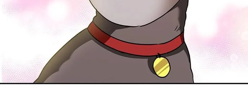Hello! Veterinarian! Chapter 34 page 98 - 