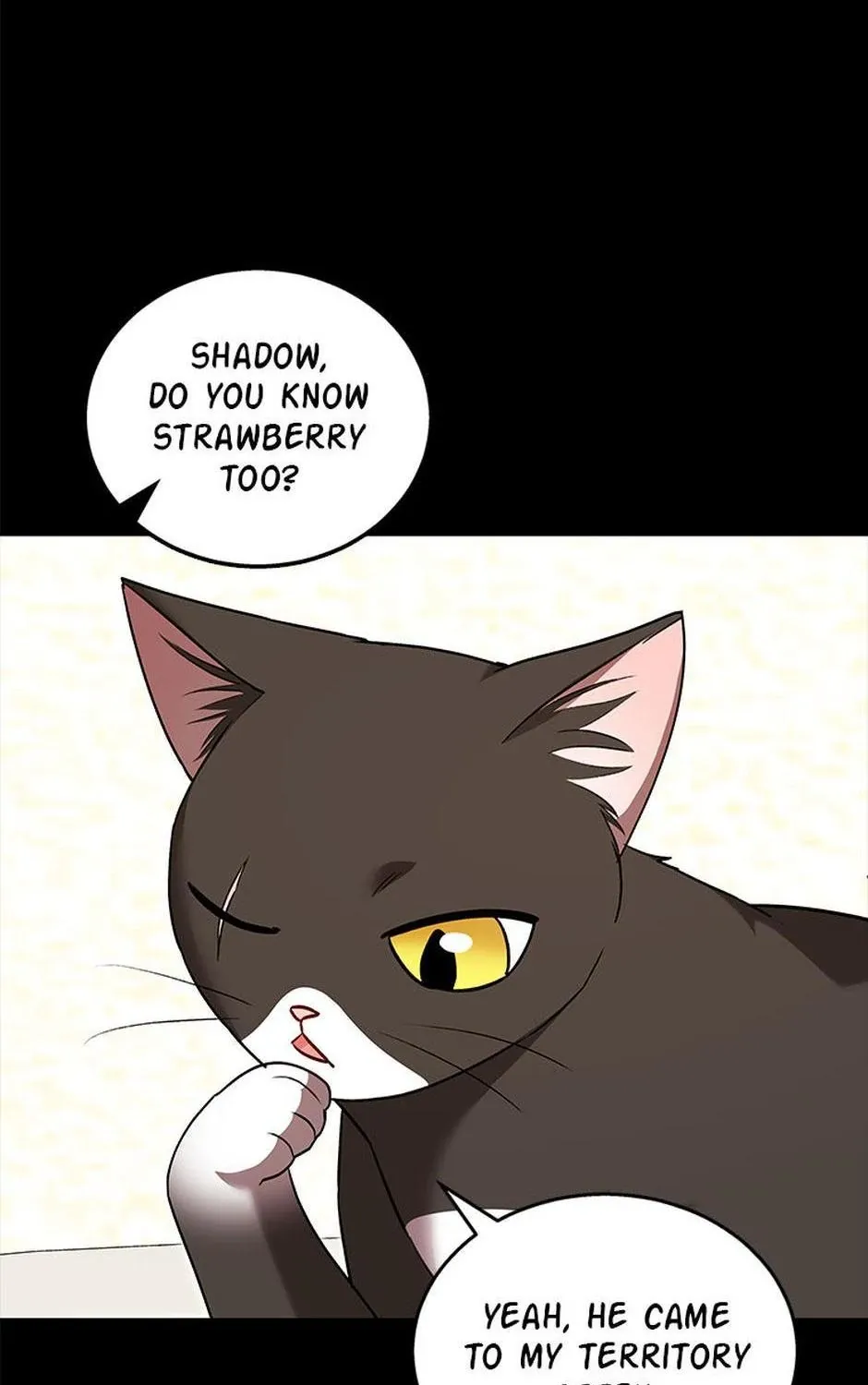 Hello! Veterinarian! Chapter 35 page 6 - 