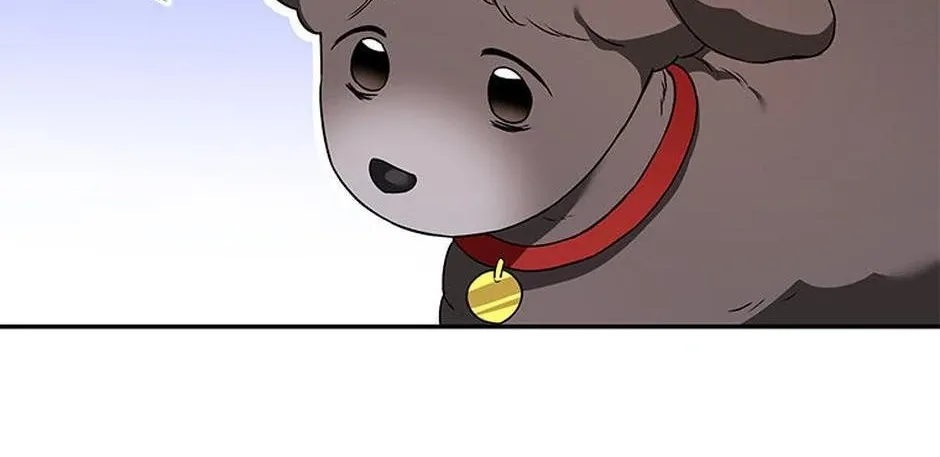 Hello! Veterinarian! Chapter 35 page 57 - 