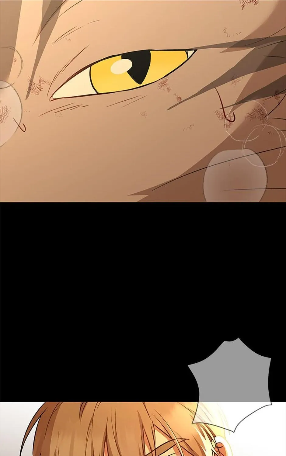 Hello! Veterinarian! Chapter 35 page 80 - 
