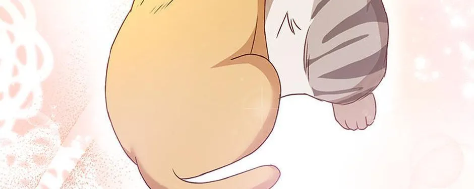 Hello! Veterinarian! Chapter 37 page 103 - 