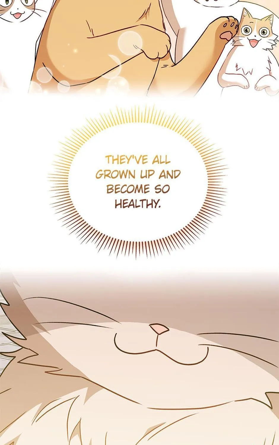 Hello! Veterinarian! Chapter 38 page 87 - 